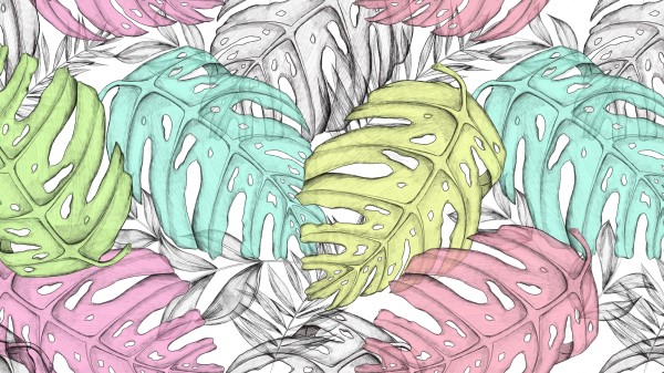 Monstera Leaves Art Wallpaper