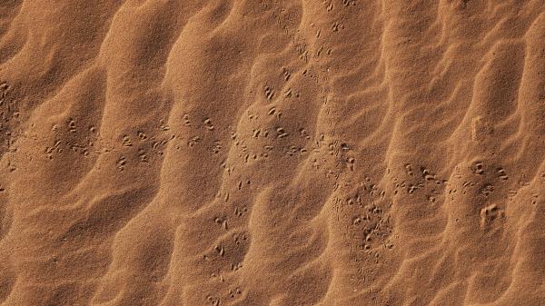 Sand Footprints Desert Wallpaper