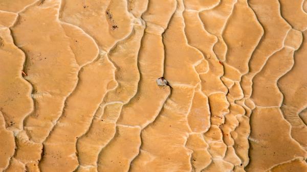 Sand Traces Drought Wallpaper