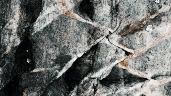 Stone Fossil Relief Wallpaper