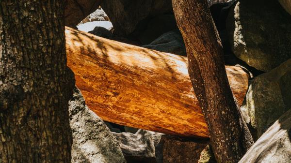 Stone Logs Wooden Wallpaper