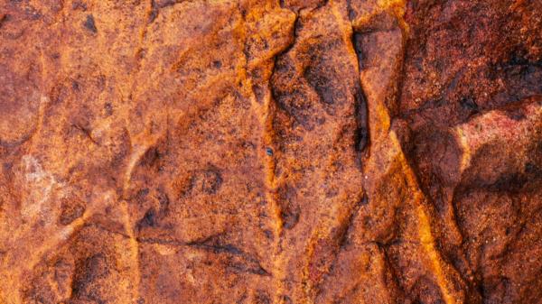 Stone Texture Relief Wallpaper