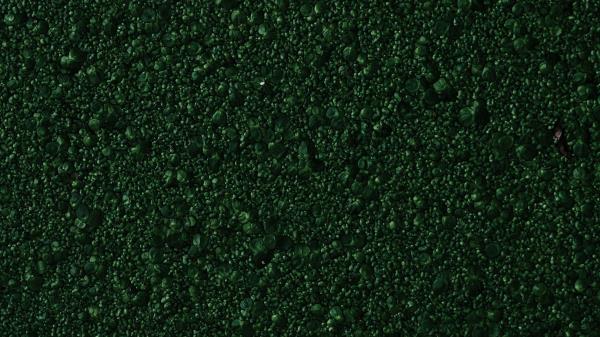 Stones Green Texture Wallpaper