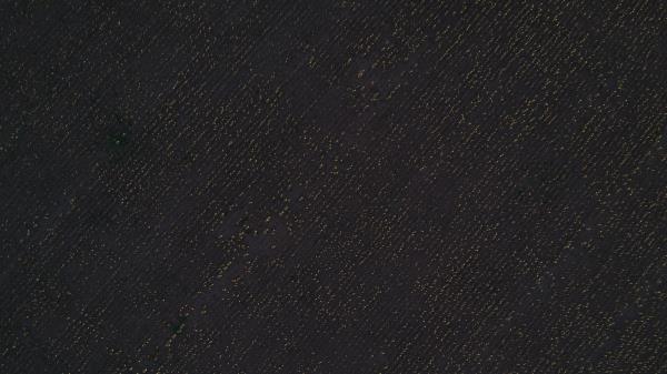 Stripes Lines Diagonal Wallpaper