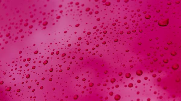Surface Drops Pink Wallpaper