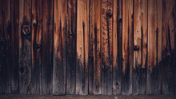 Texture Boards Wood Wallpaper
