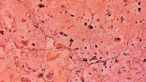 Texture Cranny Pink Wallpaper