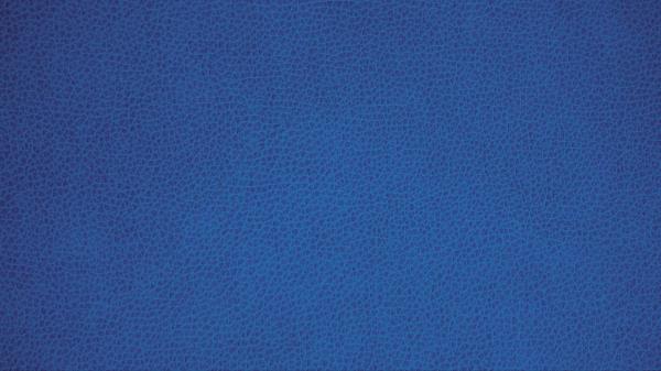 Texture Leather Blue wallpaper