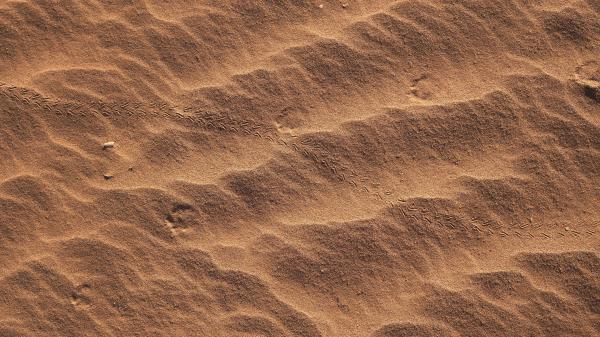 Texture Sand Brown Wallpaper