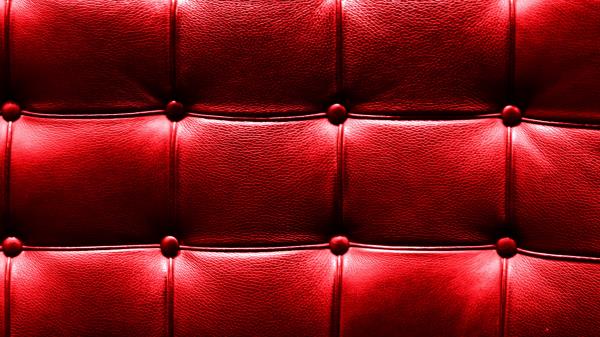 Texture Skin Surfac Wallpaper