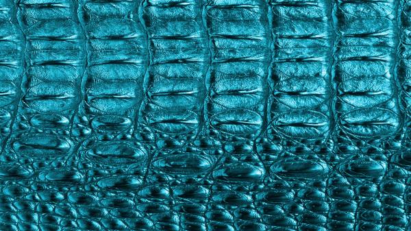 Texture Structure Scales Wallpaper