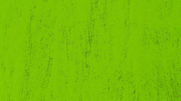 Texture Wall Green Surface Wallpaper