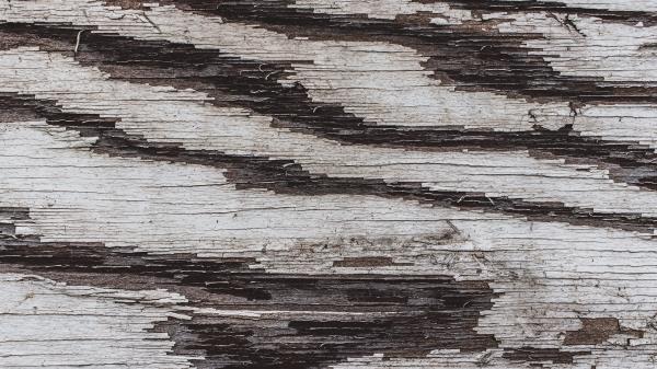Texture Wood Paint Wallpaper