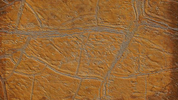 Wall Cranny Texture Wallpaper