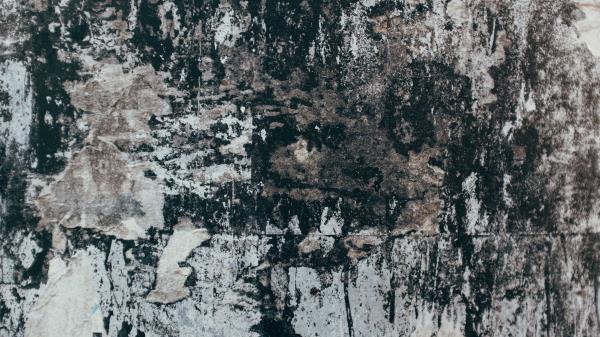 Wall Texture Grunge Wallpaper