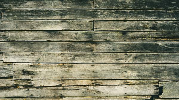 Wall Wooden Stains Wallpaper