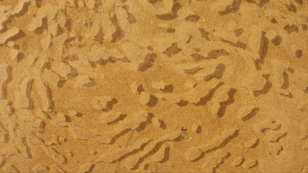 Water Sand Sandy Wallpaper