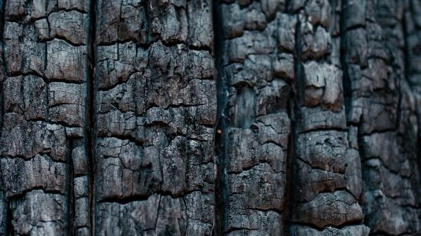 Wood Coal Texture Wallpaper