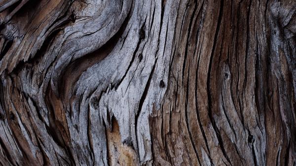 Wood Texture Cracks Image Wallpaper