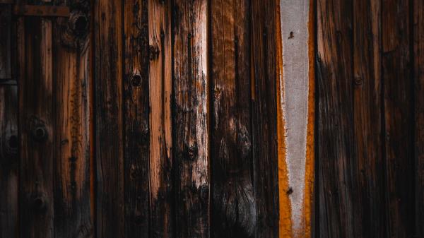 Wood Wooden Surface Wallpaper