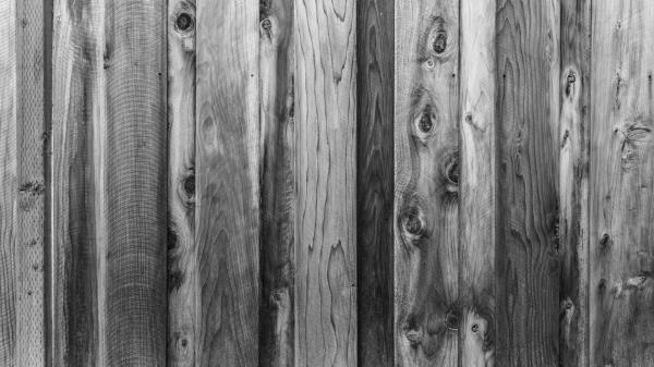 Wood Wooden Texture Photo Wallpaper
