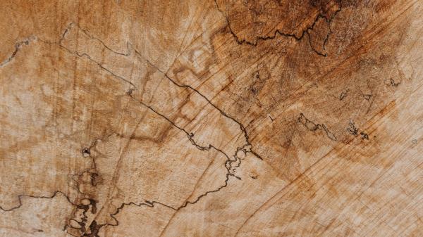 Wooden Texture Surface Wallpaper