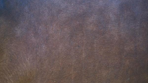 Wool Macro Texture Wallpaper