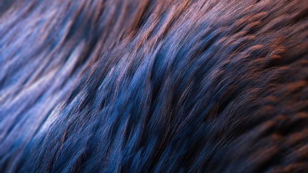 Wool Texture Surface Wallpaper