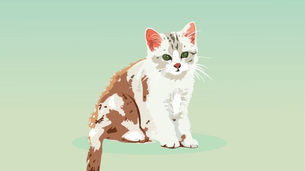 Kitten Cat Vector wallpaper