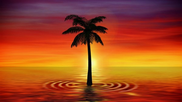 Palm Art Twilight Sea wallpaper