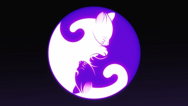 Yin And Yang Yin Yang Cat wallpaper