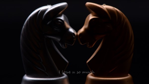 Chess Knight Inscription wallpaper