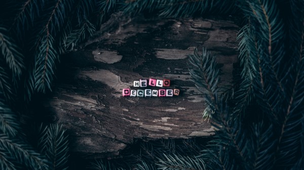December Letters Branches wallpaper