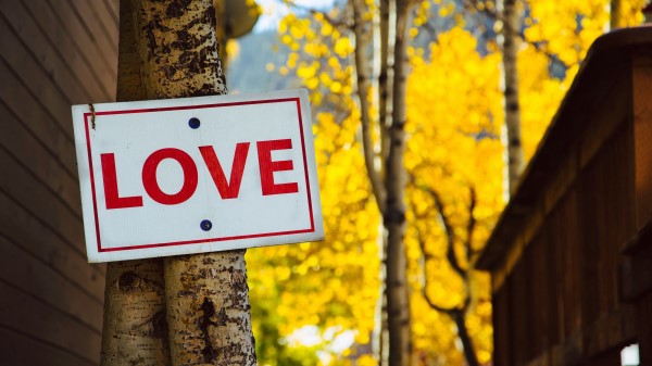 Love Inscription Signboard wallpaper