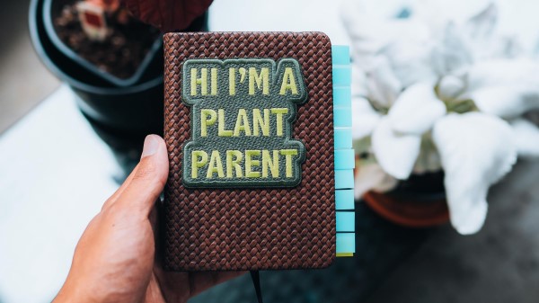 Notepad Inscription Plant wallpaper