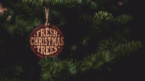 Spruce Label Inscription wallpaper