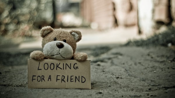 Teddy Bear Toy Inscription wallpaper