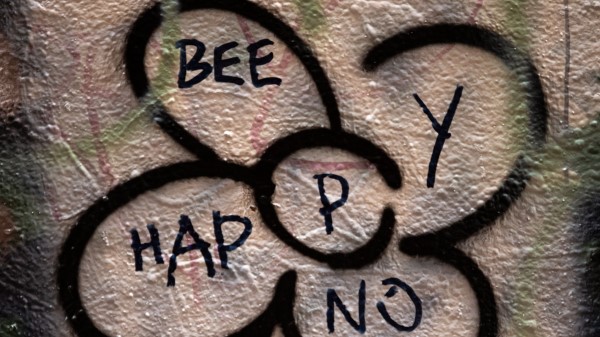 Wall Inscription Flower Wallpaper