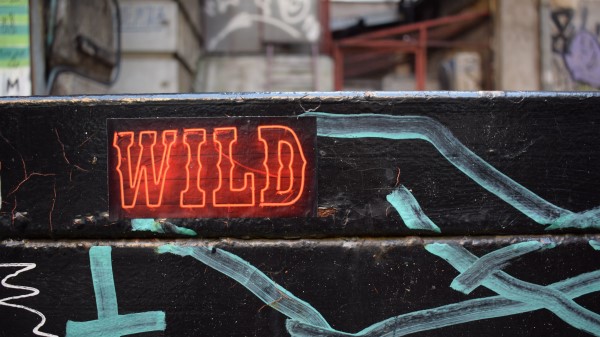 Wild Neon Inscription wallpaper