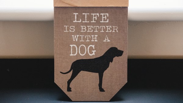 Words Inscription Dog wallpaper