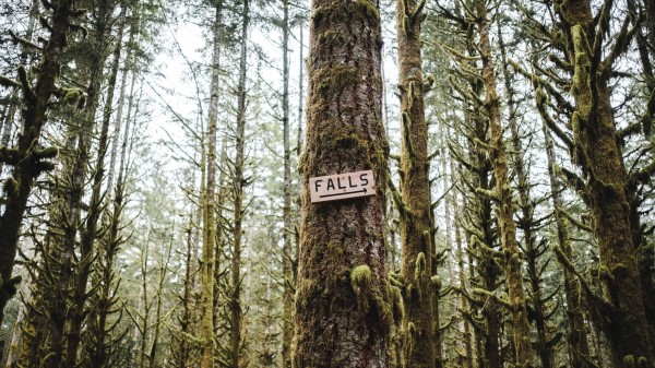 Words Inscription Pointer Wallpaper