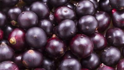 Acai Berries 4k Wallpaper Wallpaper