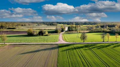 Aerial Clouds Fields Trees Road Spring Wallpaper