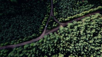 Aerial Photo Road Middle Forest Wallpaper