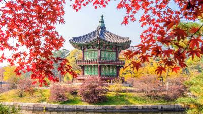Autumn In Gyeongbokgung Palace Wallpaper