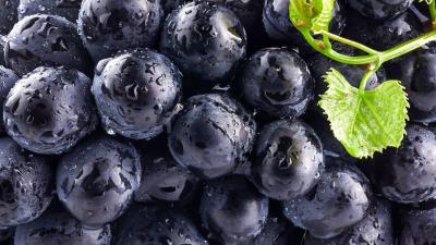 Berries Blueberries Fruit Food Wallpaper