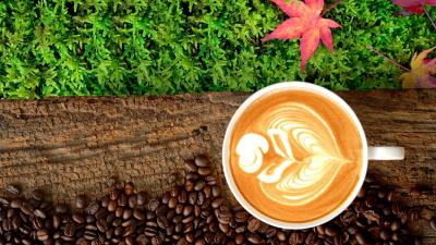 Coffee Cauppicinno Drink Wallpaper