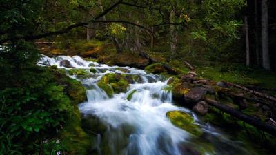 Exploring Kananaskis Alberta Wallpaper