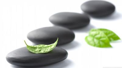 Feng Shui Art Photography Zen Green Relax Wallpaper