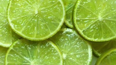 Fruit Slice Lime Green Wallpaper